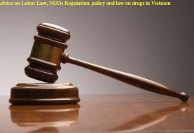 Advice on Labor Law, NGOs Regulation, policy and law on drugs in Vietnam