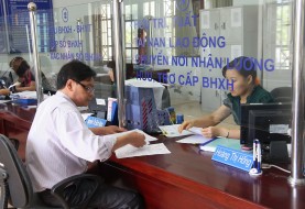 Social insurance inspectors must have at least 1 year of experience
