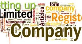 Advice on set up limited liability trading company in Vietnam
