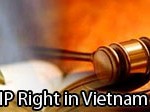 IP-Right-in-Vietnam