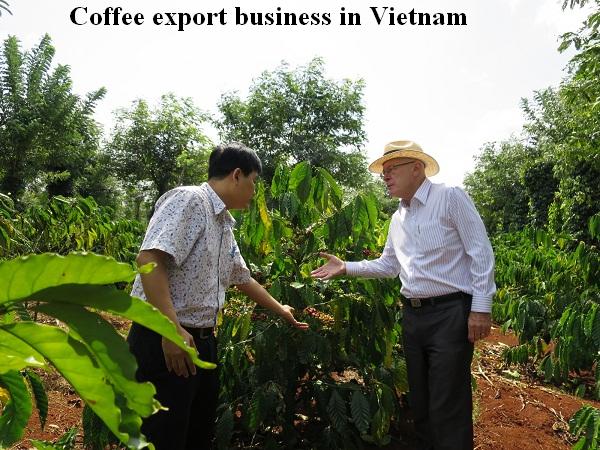 coffee export business in Vietnam