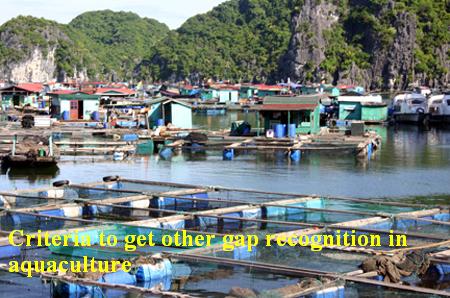 Criteria to get other gap recognition in aquaculture