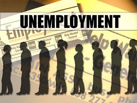 employees covered by unemployment insurance