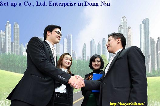 set up a Co., Ltd. Enterprise in Dong Nai