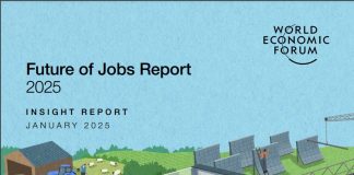 Future of Jobs Report 2025- INSIGHT REPORT JANUARY 2025